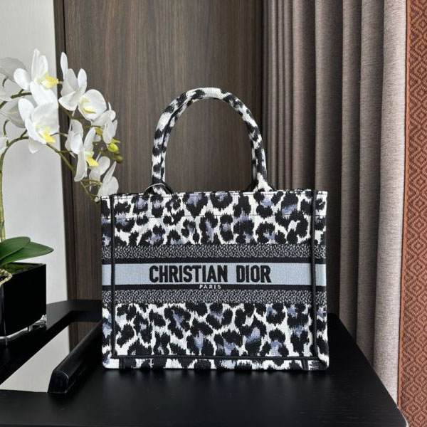 Christian Dior Shopping Bags - Click Image to Close